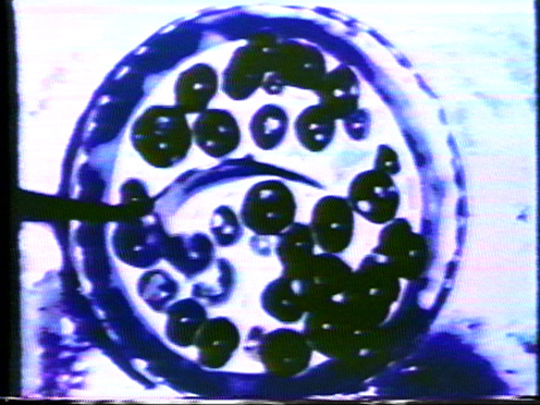 Peer Bode video still from Blue 1975
