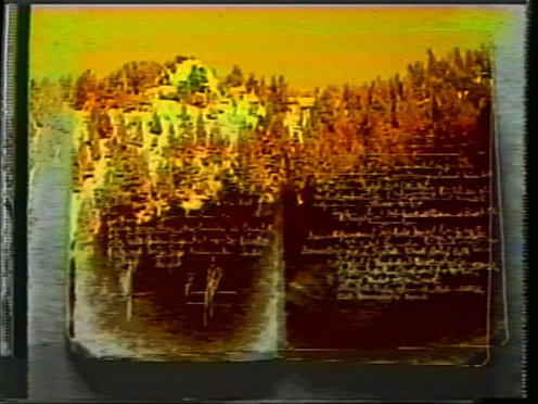 Peer Bode video still from Transport 1, 2 and 3 2001
